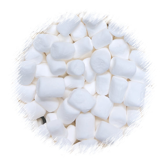 Bulk MINI Marshmallows: 2lb | www.sprinklebeesweet.com