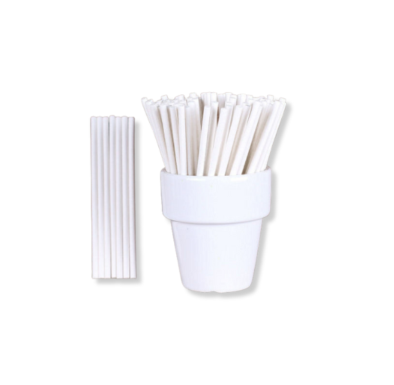 Mini White Paper Lollipop Sticks: 3.75" | www.sprinklebeesweet.com