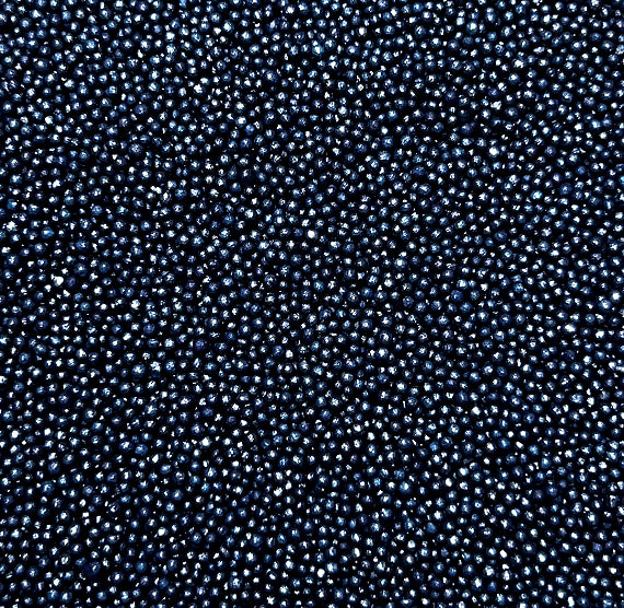 Shimmer Dark Navy Nonpareils | www.sprinklebeesweet.com