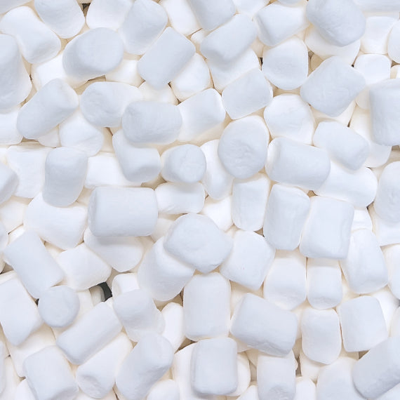 Bulk MINI Marshmallows: 2lb | www.sprinklebeesweet.com