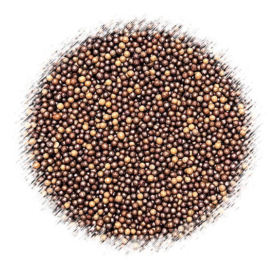 Bulk Nonpareils: Ombre Brown | www.sprinklebeesweet.com