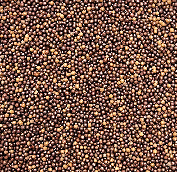 Ombré Nonpareils Mix: Brown | www.sprinklebeesweet.com