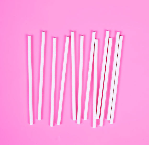 Mini White Paper Lollipop Sticks: 3.75" | www.sprinklebeesweet.com