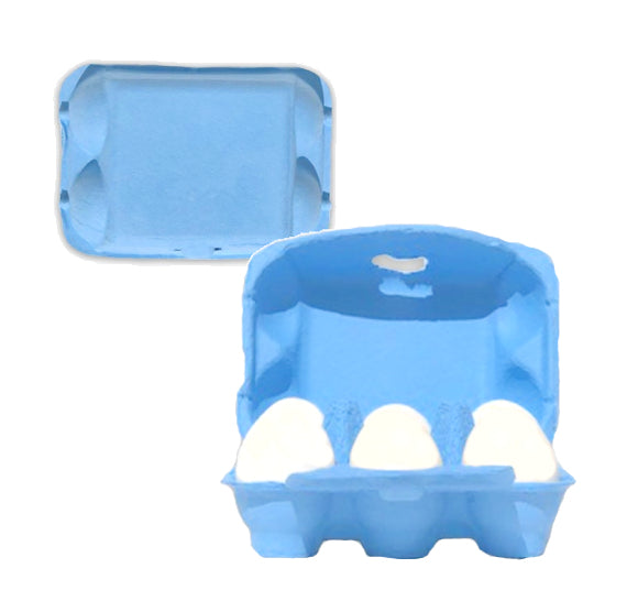 Blue Egg Cartons: 6 Egg | www.sprinklebeesweet.com