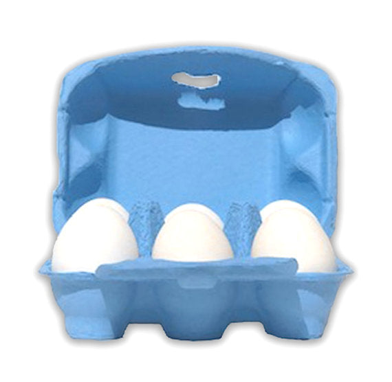 Blue Egg Cartons: 6 Egg | www.sprinklebeesweet.com