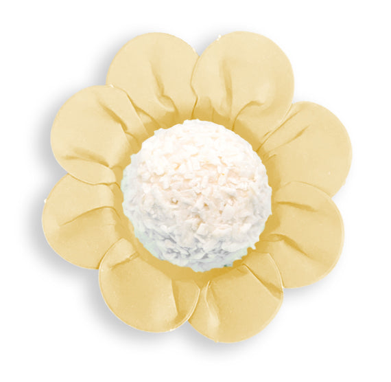 Daisy Flower Candy Cups: Cream | www.sprinklebeesweet.com