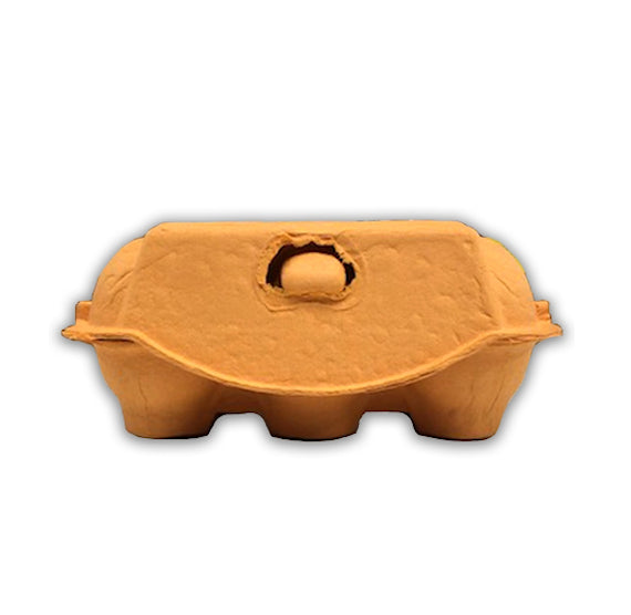 Orange Egg Cartons: 6 Egg | www.sprinklebeesweet.com