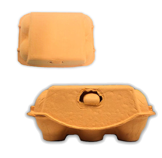 Orange Egg Cartons: 6 Egg | www.sprinklebeesweet.com