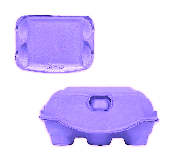 Purple Egg Cartons: 6 Egg | www.sprinklebeesweet.com