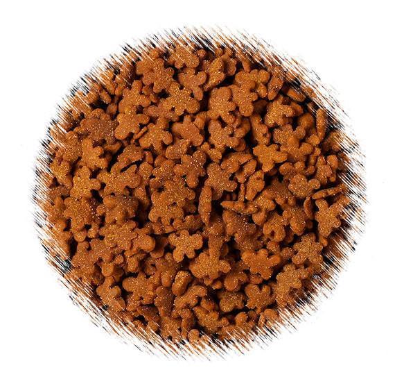 Gingerbread Man Sprinkles | www.sprinklebeesweet.com