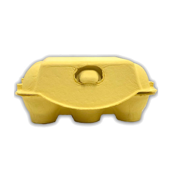 Yellow Egg Cartons: 6 Egg | www.sprinklebeesweet.com