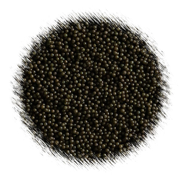 Dark Brown Nonpareils | www.sprinklebeesweet.com