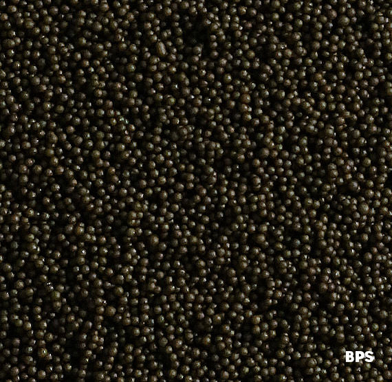 Dark Brown Nonpareils | www.sprinklebeesweet.com