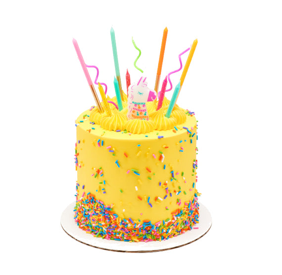Fiesta Birthday Candles with Gold: 4.5" | www.sprinklebeesweet.com