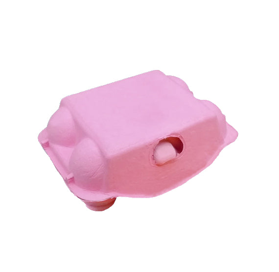 Light Pink Egg Cartons: 6 Egg | www.sprinklebeesweet.com