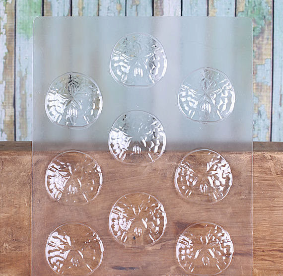 Sand Dollar Chocolate Mold | www.sprinklebeesweet.com