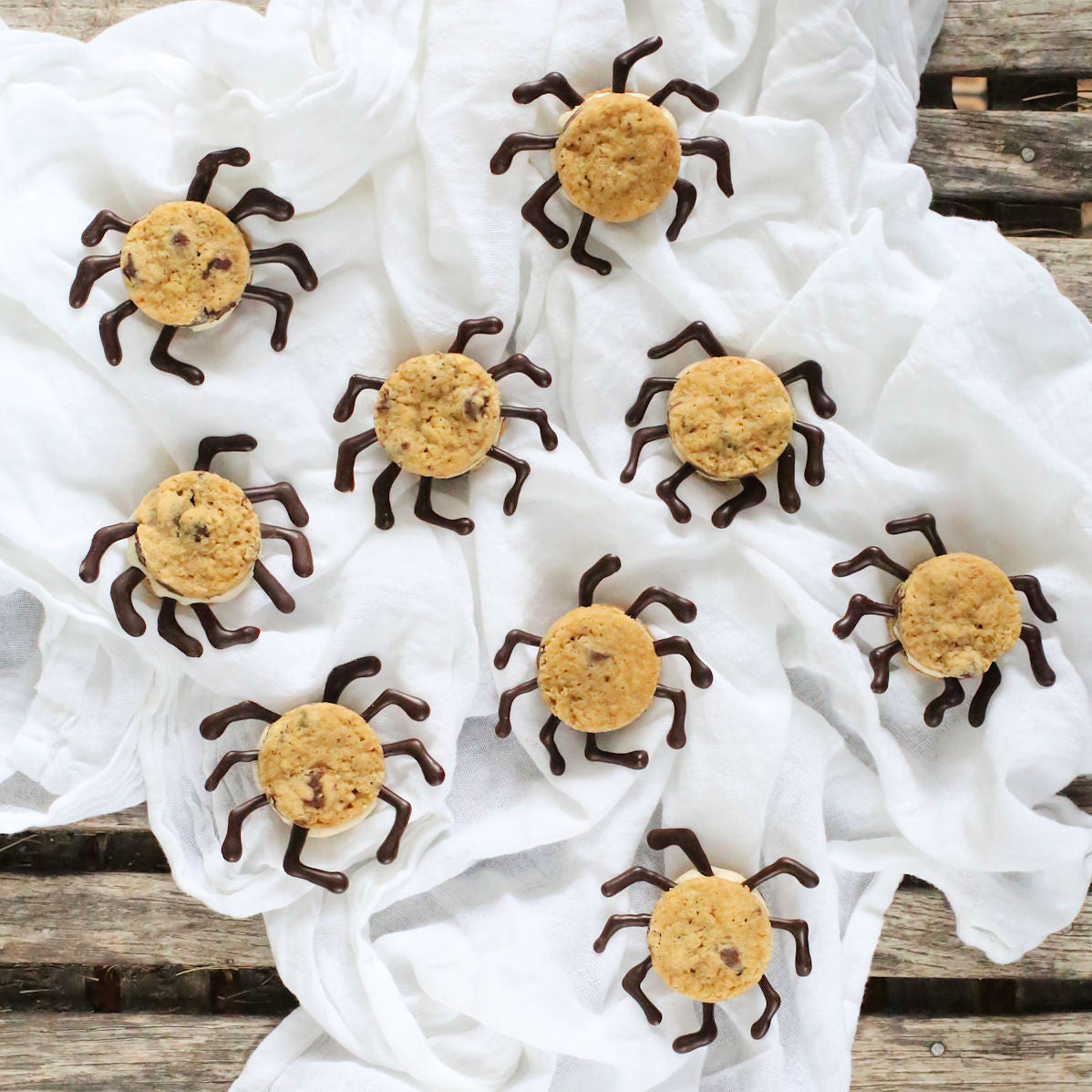 Chocolate Chip Sandwich Cookie Spiders