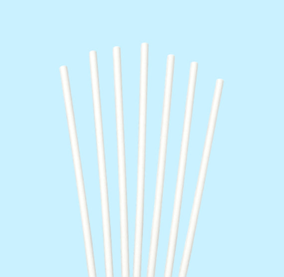 White Paper Lollipop Sticks: 6" | www.sprinklebeesweet.com