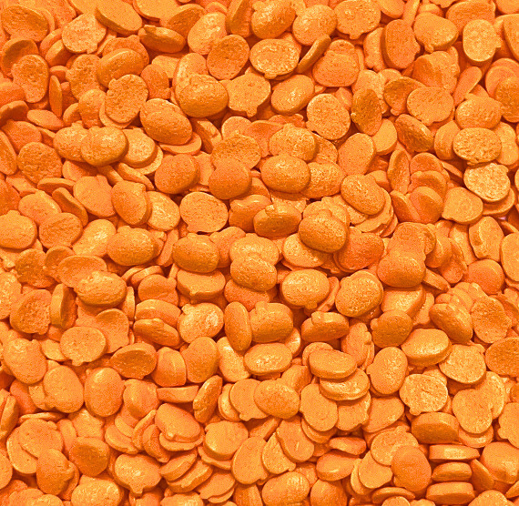 Pumpkin Sprinkles - LAST CALL | www.sprinklebeesweet.com