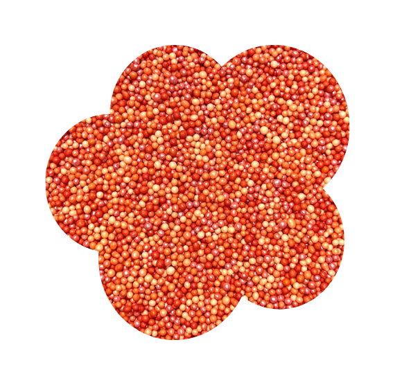 Ombré Nonpareils Mix: Fire Orange - NEW SIZE | www.sprinklebeesweet.com