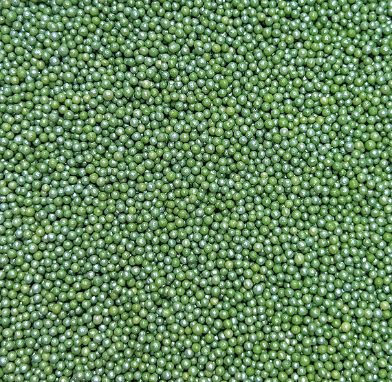 Shimmer Deep Sage Green Nonpareils | www.sprinklebeesweet.com