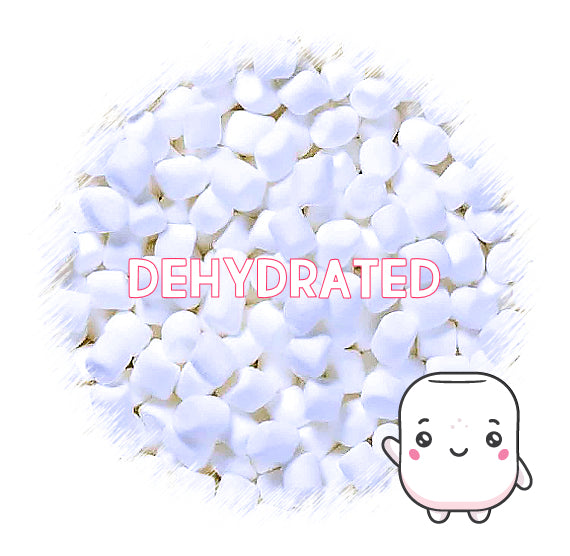 Dehydrated Micro Marshmallows | www.sprinklebeesweet.com