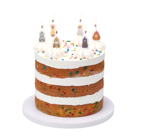 Birthday Candles: Party Cats | www.sprinklebeesweet.com