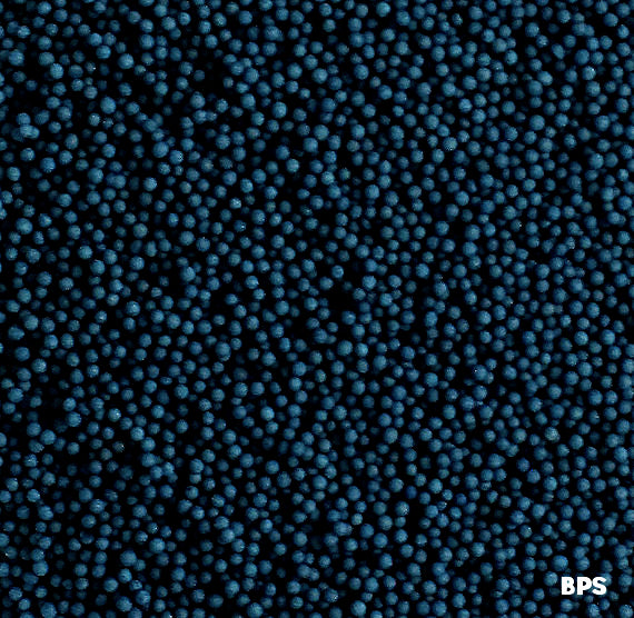 Dark Navy Blue Nonpareils | www.sprinklebeesweet.com