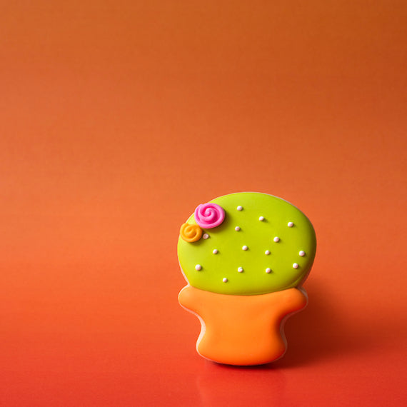 Sweet Sugarbelle Mini Cookie Cutter Set: Shape Shifter 1 | www.sprinklebeesweet.com