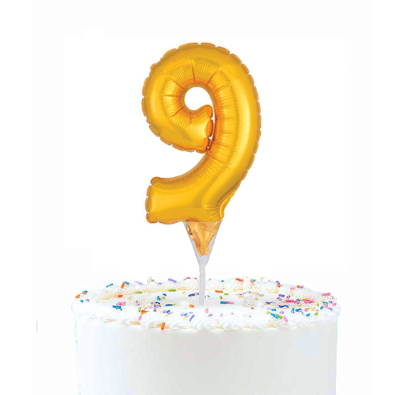 Inflatable Balloon Cake Topper: Number 9 | www.sprinklebeesweet.com