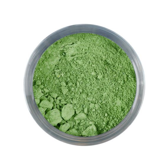 Pastel Green Edible Paint Powder | www.sprinklebeesweet.com
