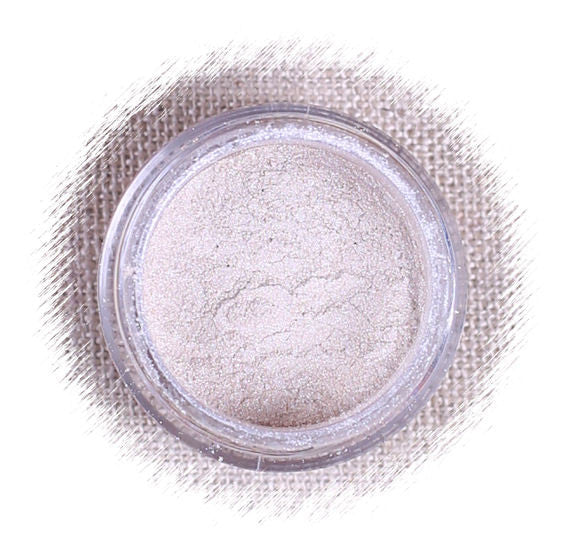 Shiny Silver Luster Dust | www.sprinklebeesweet.com